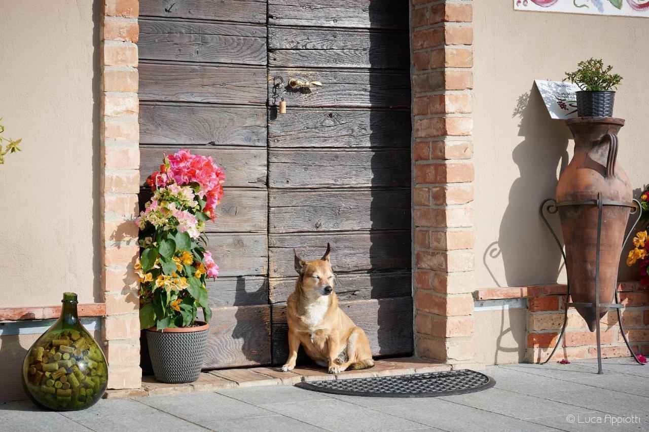 Pensjonat Agriturismo Cascina Sciulun Monforte dʼAlba Zewnętrze zdjęcie