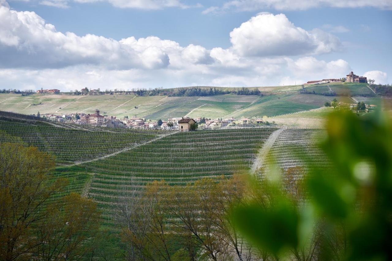 Pensjonat Agriturismo Cascina Sciulun Monforte dʼAlba Zewnętrze zdjęcie