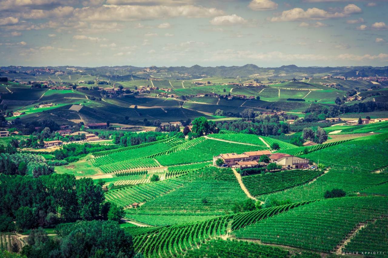 Pensjonat Agriturismo Cascina Sciulun Monforte dʼAlba Zewnętrze zdjęcie