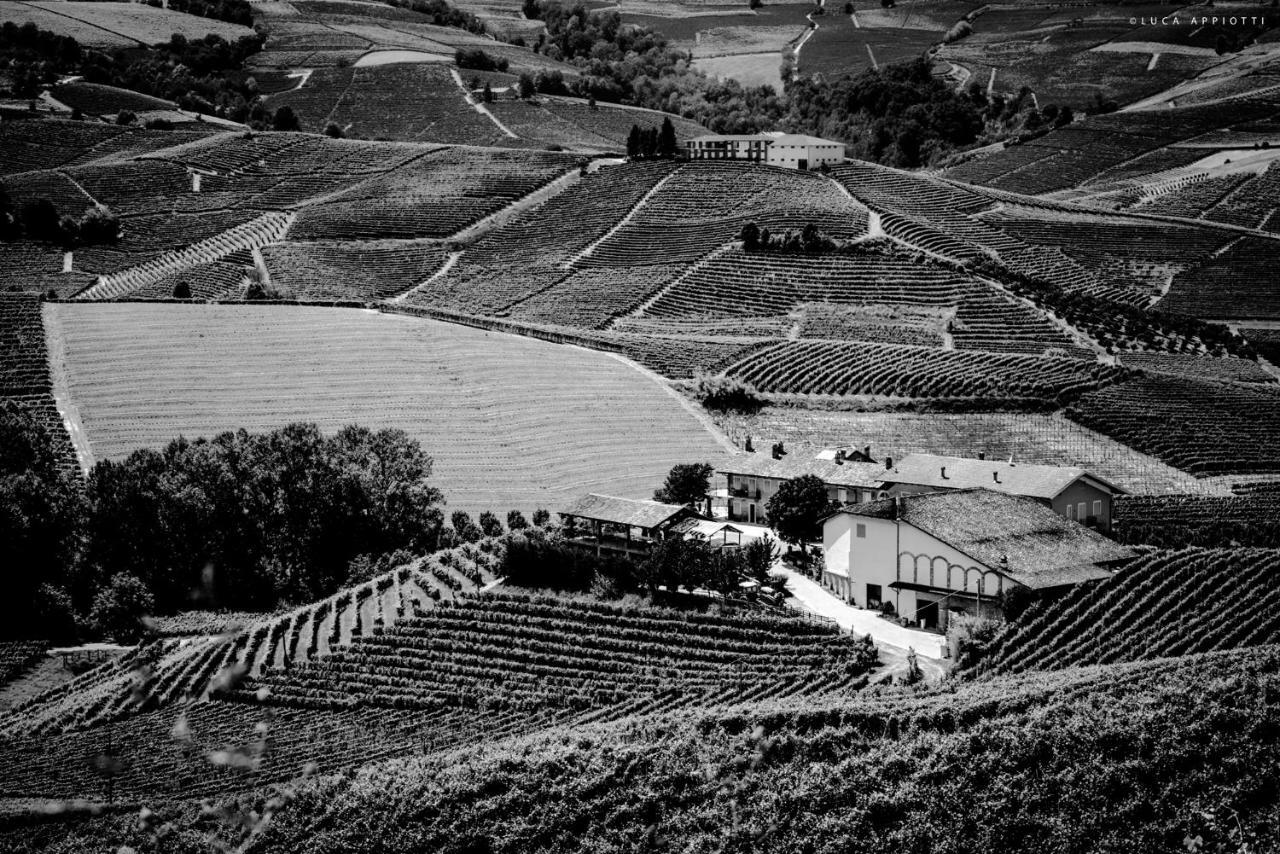 Pensjonat Agriturismo Cascina Sciulun Monforte dʼAlba Zewnętrze zdjęcie